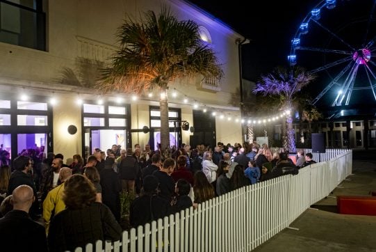 Bondi Festival Opening Night